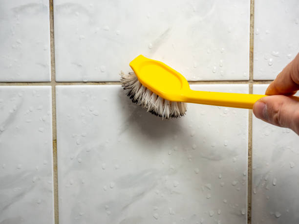 Best Emergency Mold Remediation in Adamsville, AL